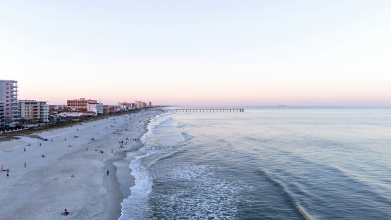 25 Best Things to Do Alone in Jacksonville, Florida (2025 Guide)